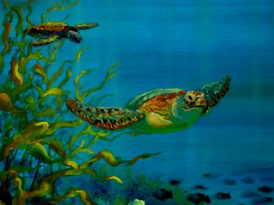 Green Turtle by Lee Campbell
